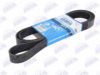 BTA B08-8PK2120 V-Ribbed Belts